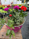Spring Beauty