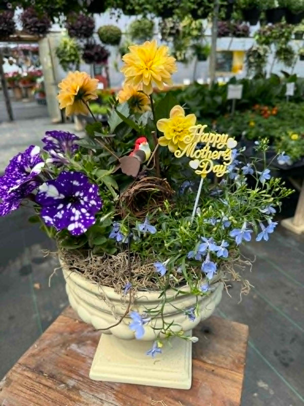 Garden Elegance (Designer's Choice)