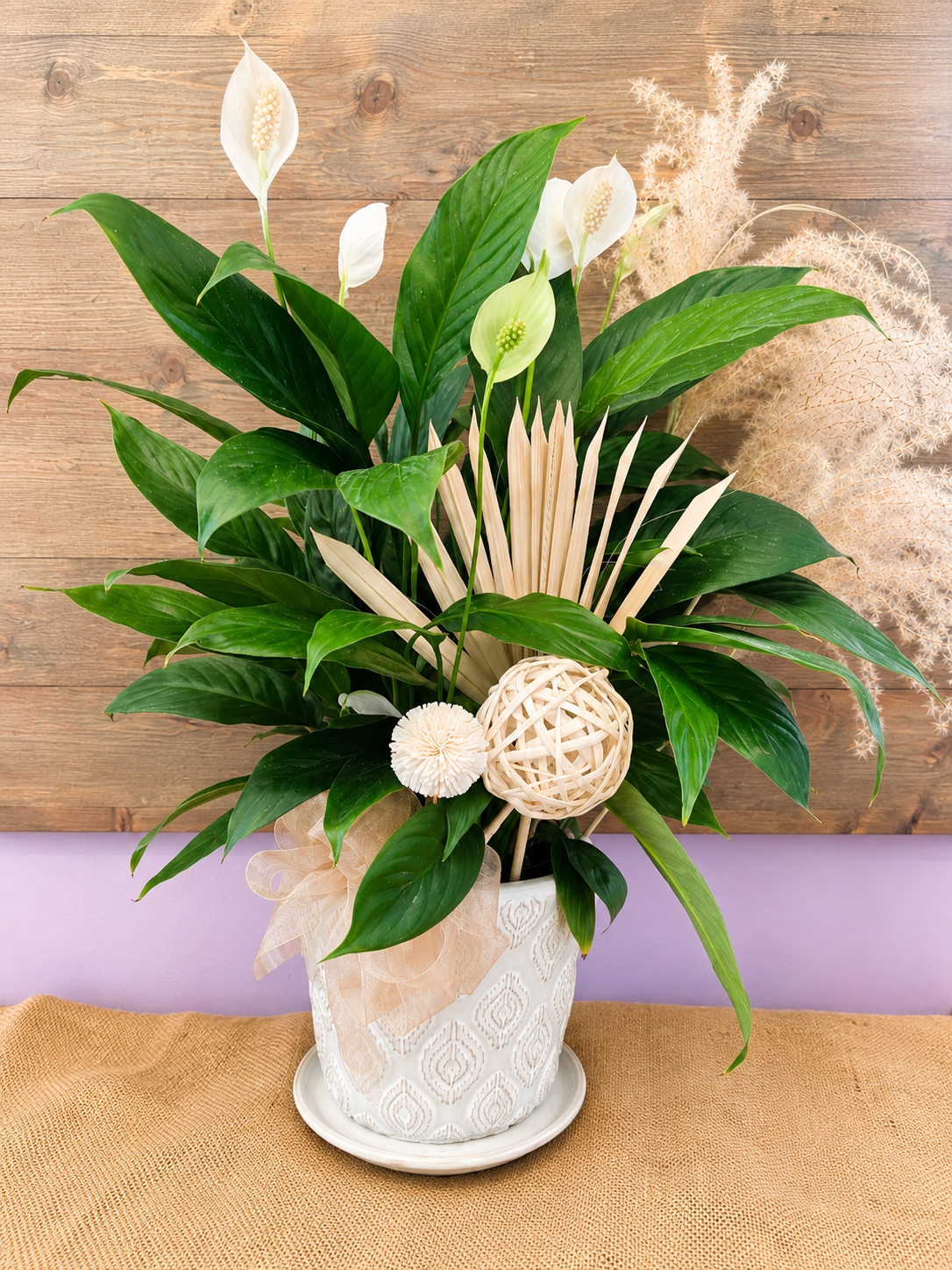 In Comfort and In Peace (Peace Lily)