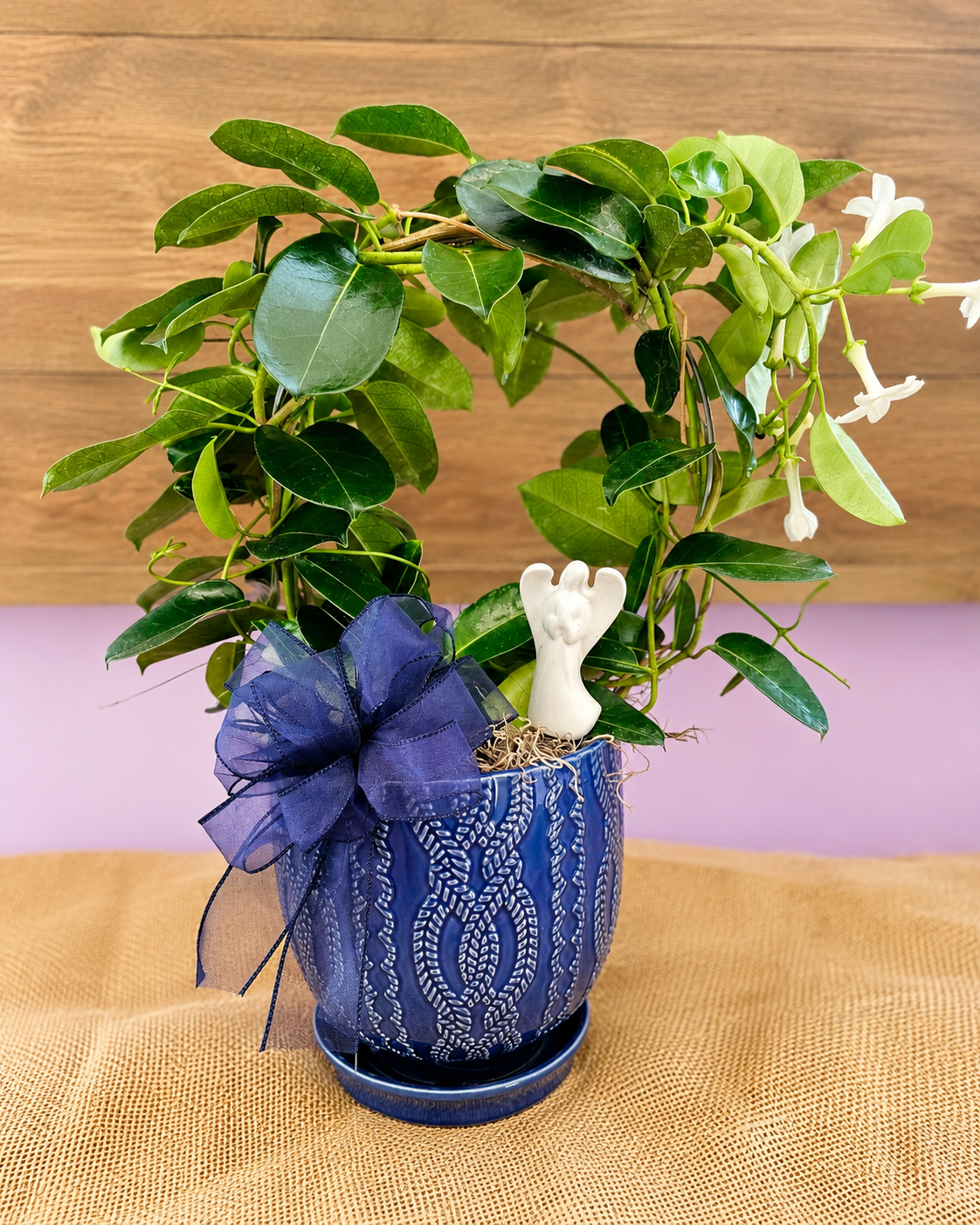 Sweet Jasmine Planter