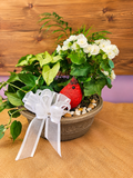 Red Cardinal Planter