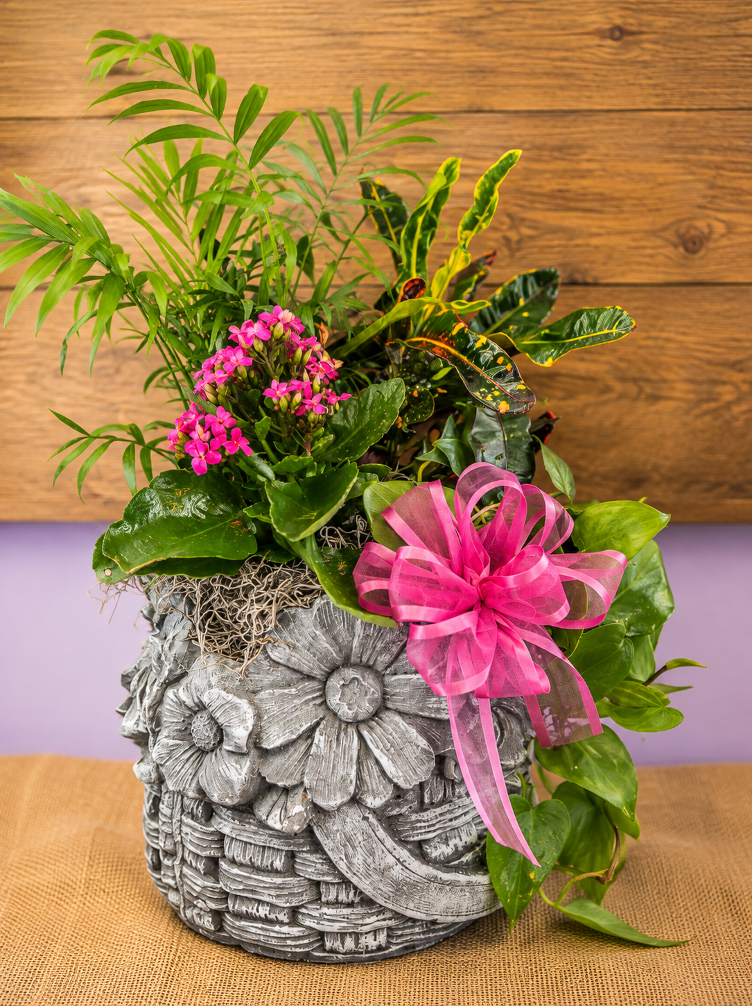 Everlasting Comfort Concrete Basket Planter