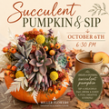 Succulent Pumpkin & Sip Workshop October 6th, 6:30 PM