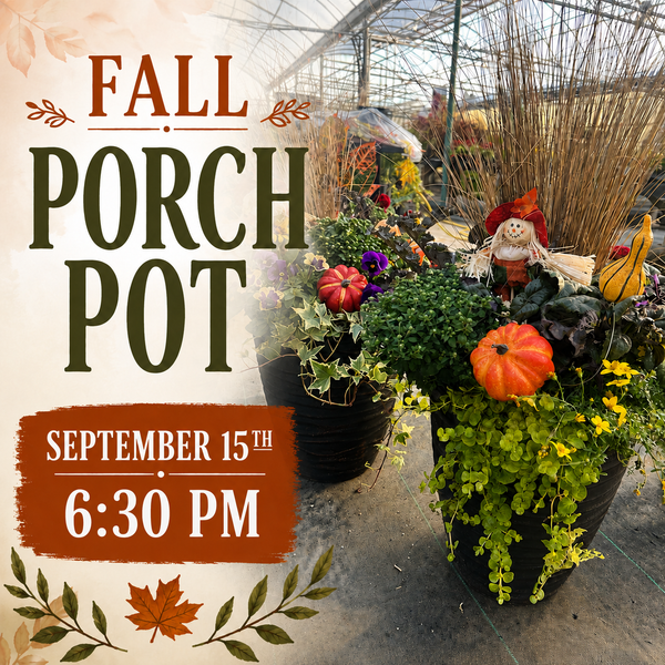 Three Season Porch Pot Workshop: Fall Edition September 15th, 6:30 PM