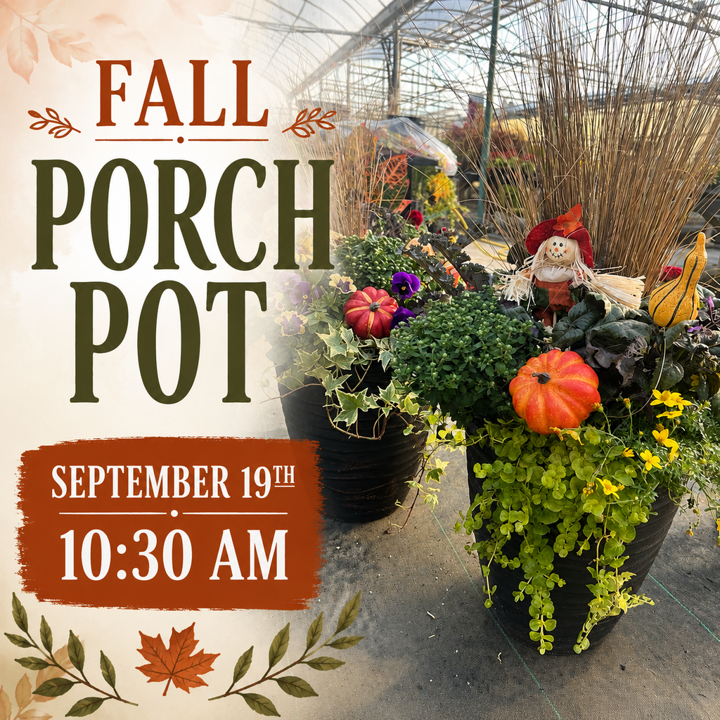 Three Season Porch Pot Workshop: Fall Edition