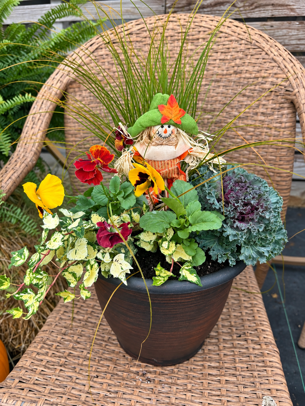 Lasting Fall Color Planter