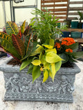 Elegant Concrete Windowbox