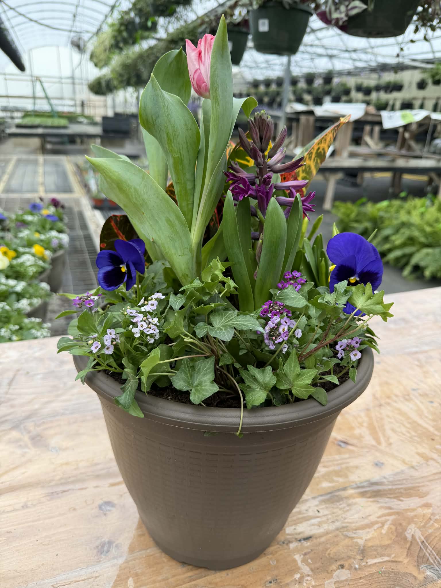 Four Season Porch Pot