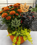The Fall Favorite Mixed Planter