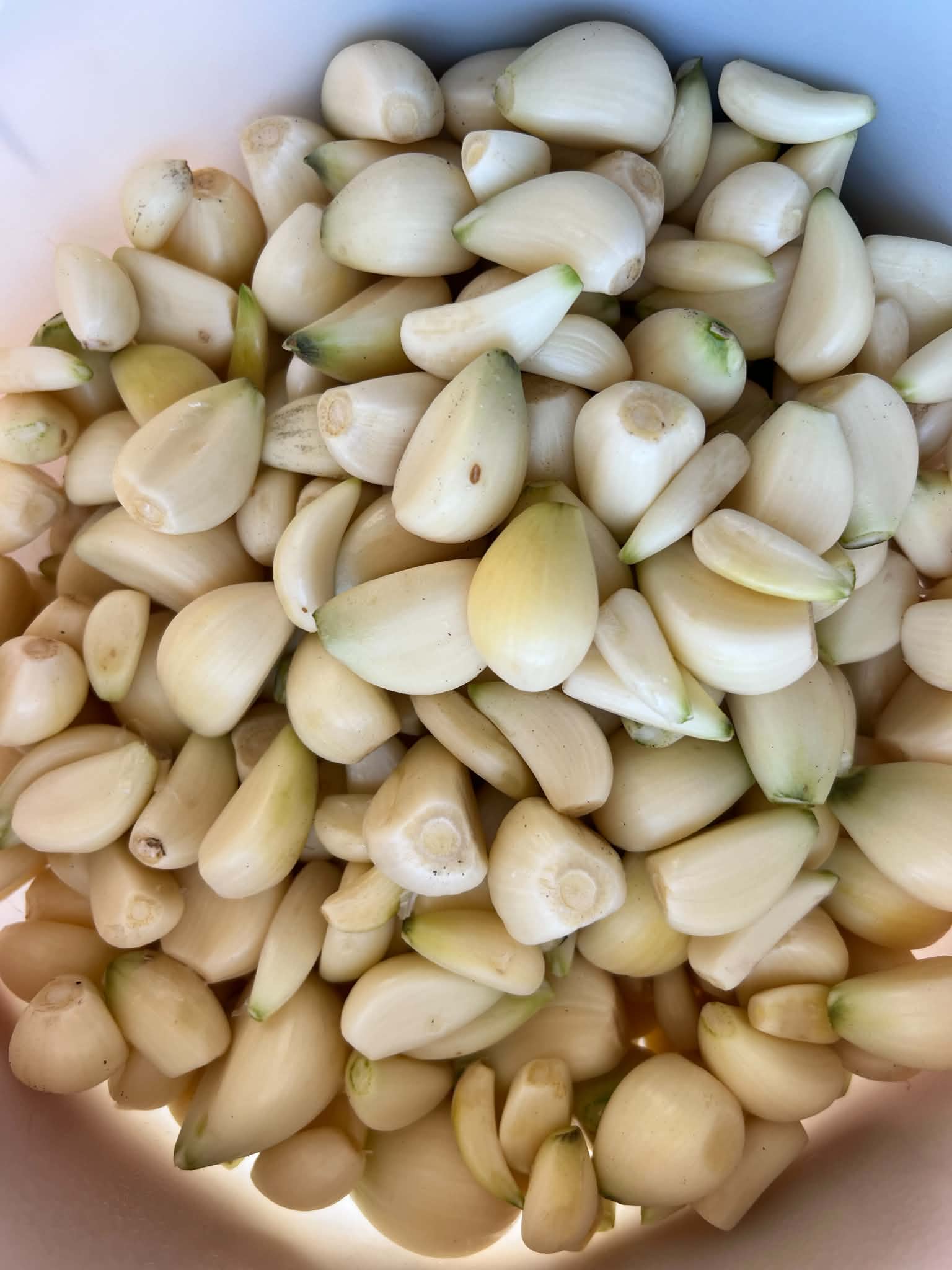 Blue Music Garlic for local pick up or shipping late September