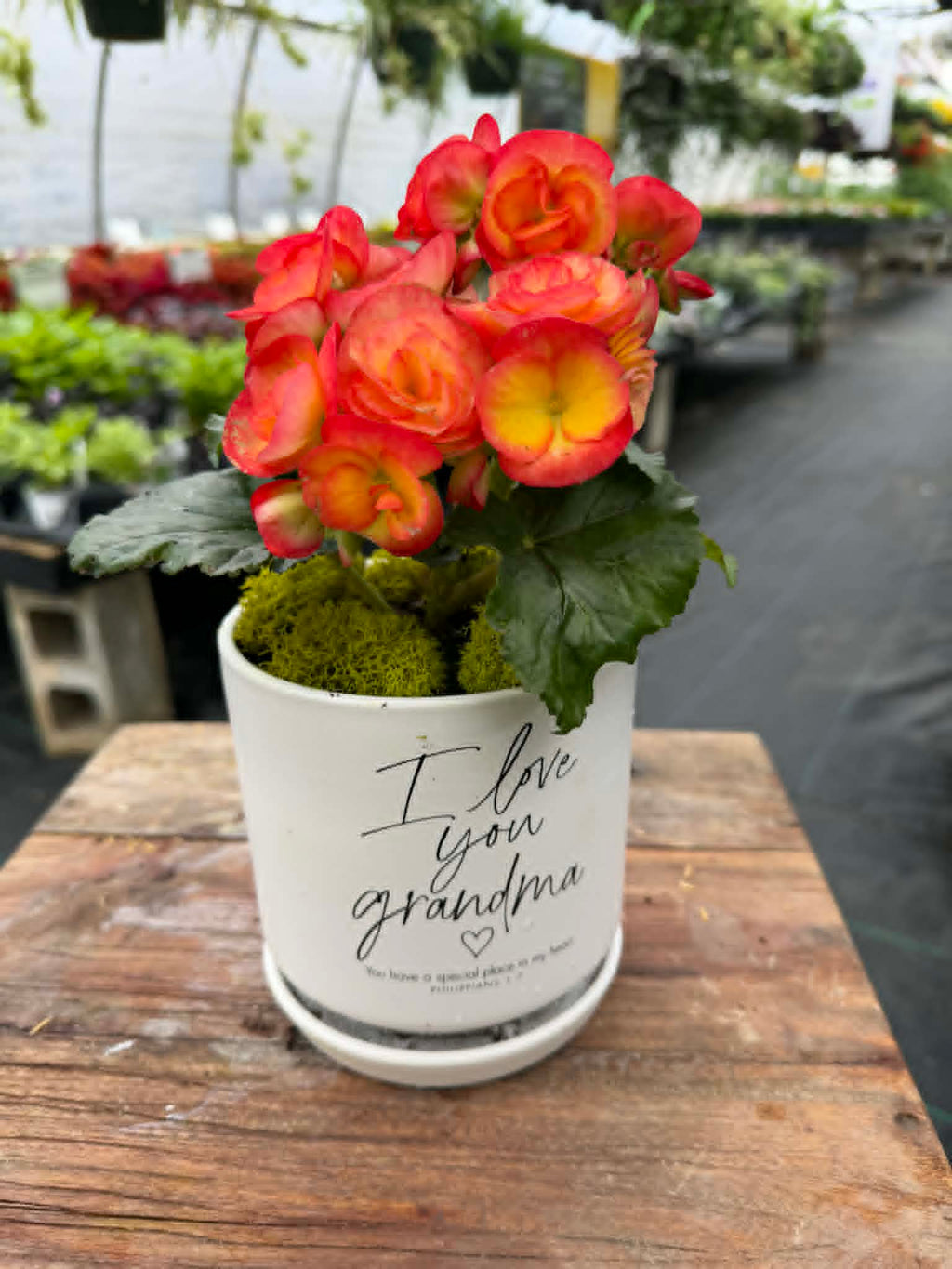 Blooms & Macarons for Mom (and Grandma)!