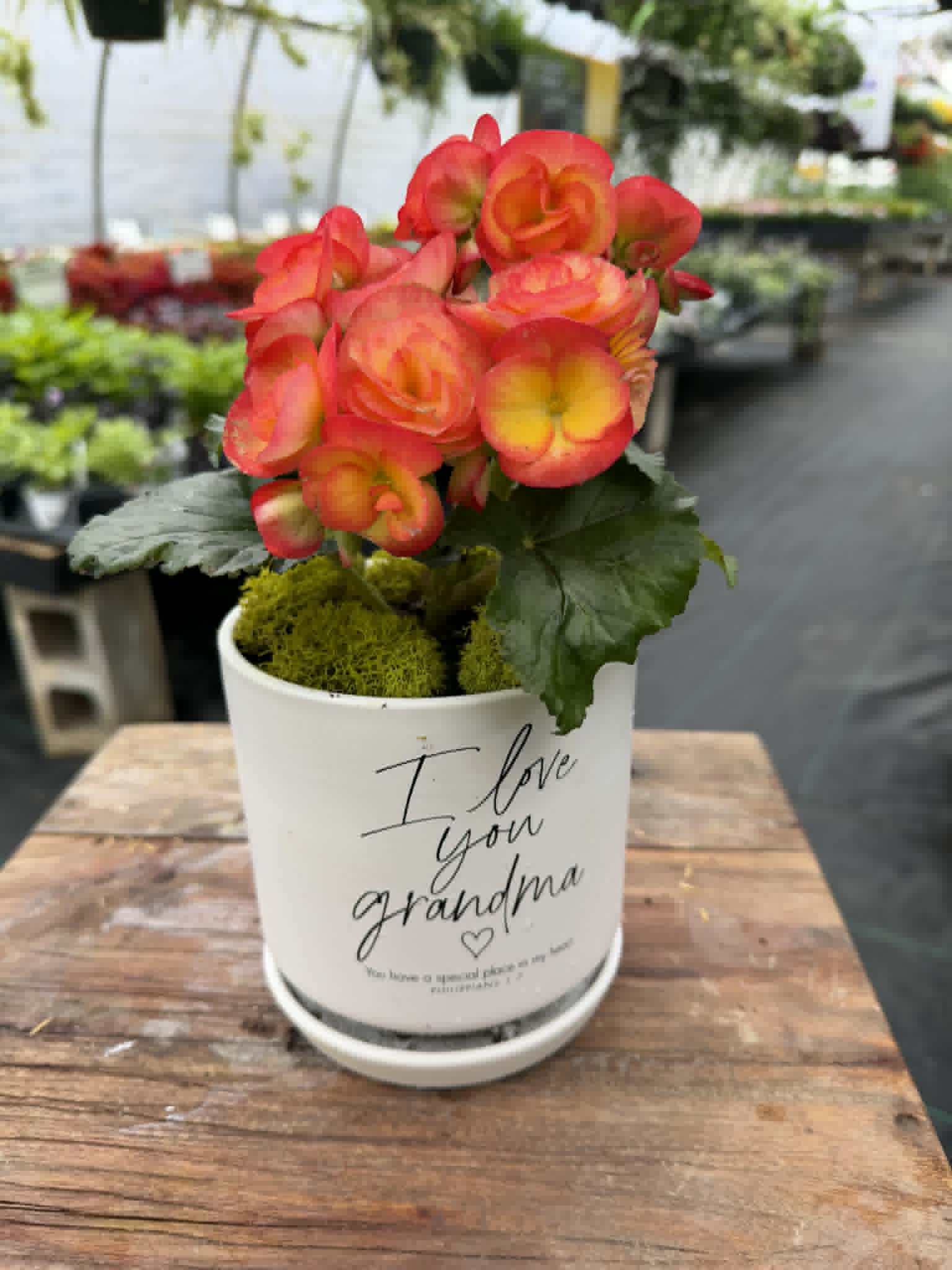 Blooms & Macarons for Mom (and Grandma)!