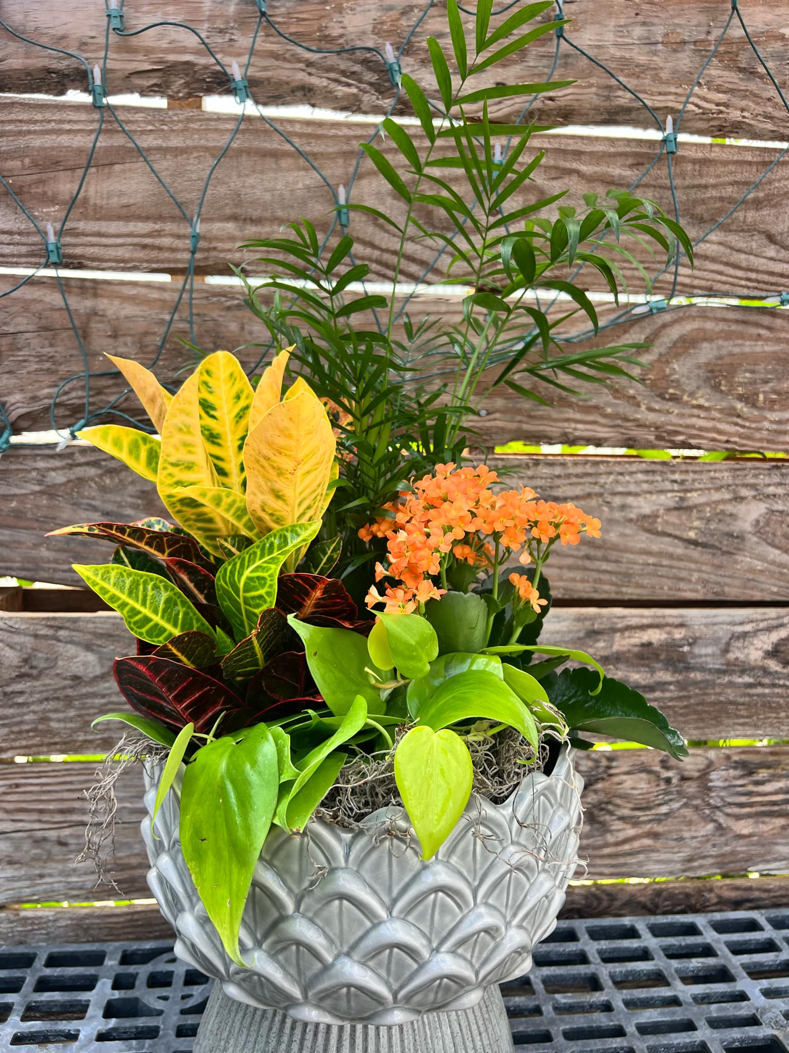Celebration Planter