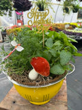 Mother's Herb Garden