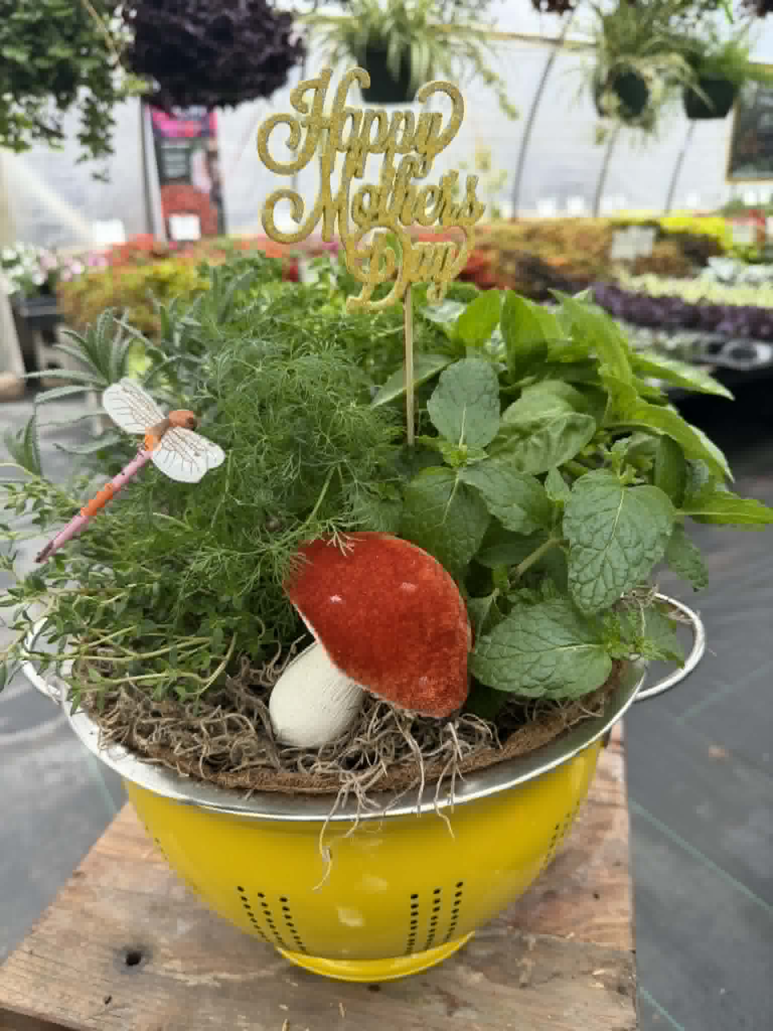Mother's Herb Garden