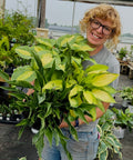 Hosta Trio Collection (Special Value only online) Pick up June 20th-27th.