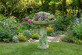 Decorative Birdbath with Succulents