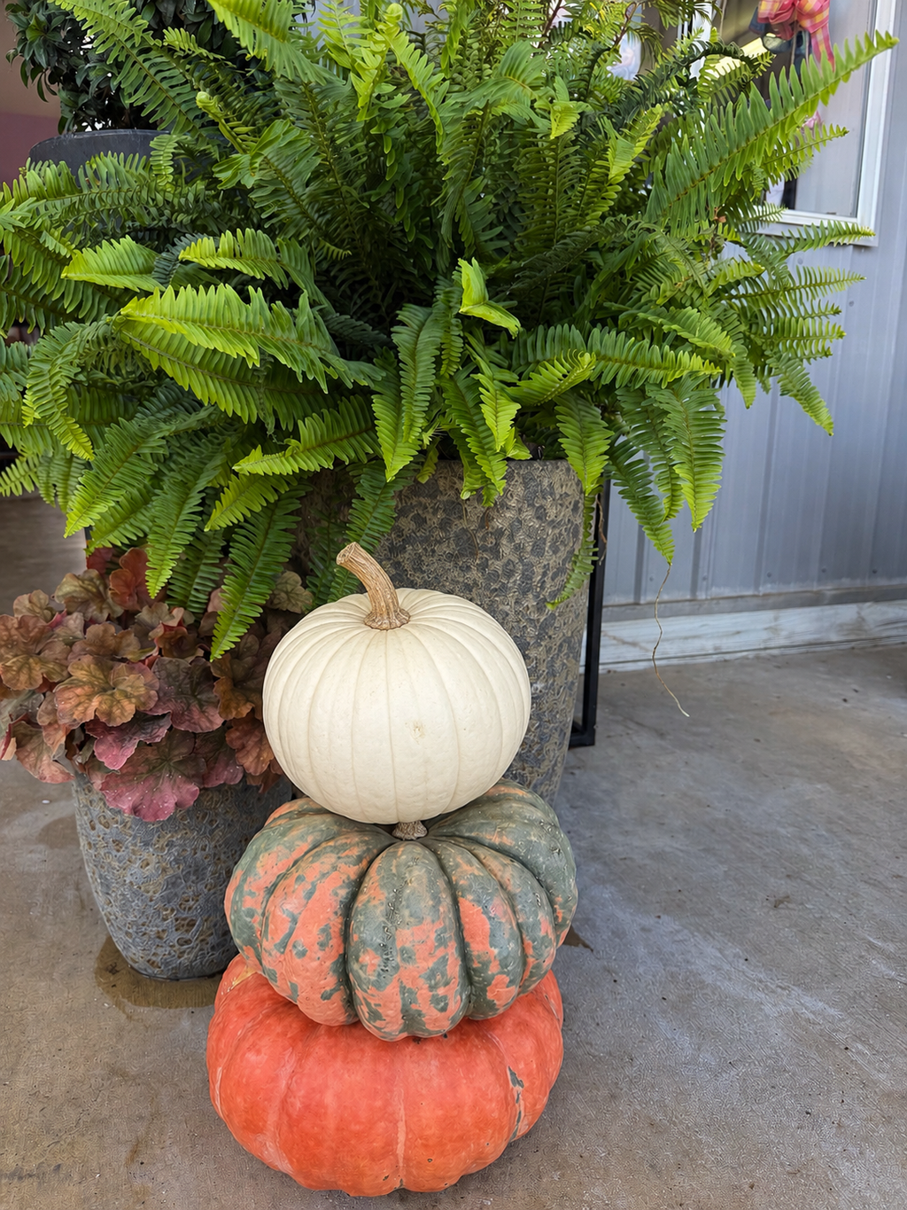 Fall Pumpkin stackers for pick up mid-September