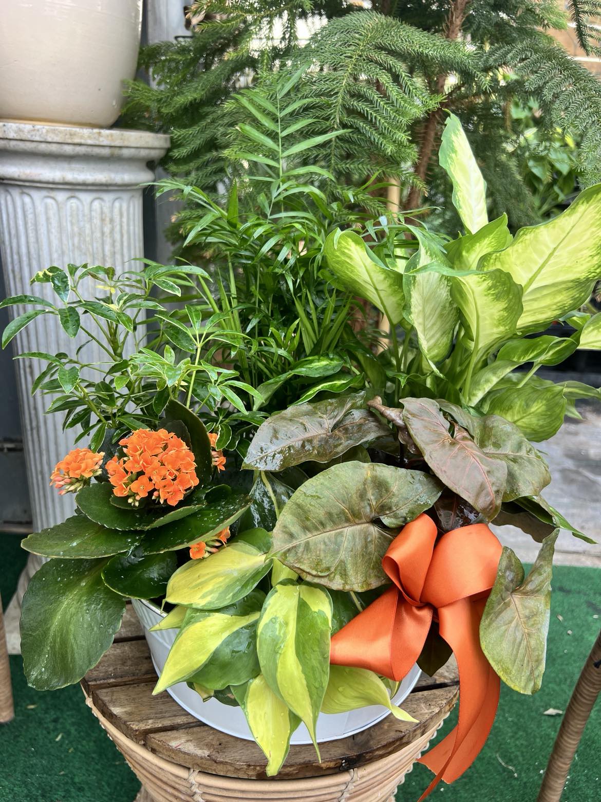 Mixed Indoor Planter