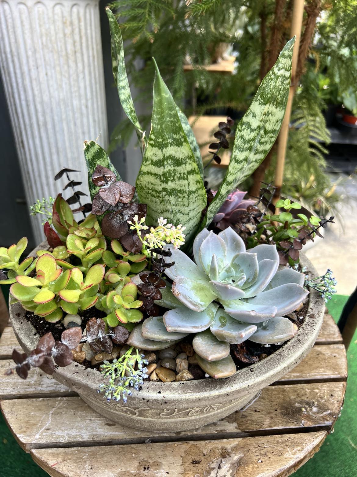 Succulent Planter