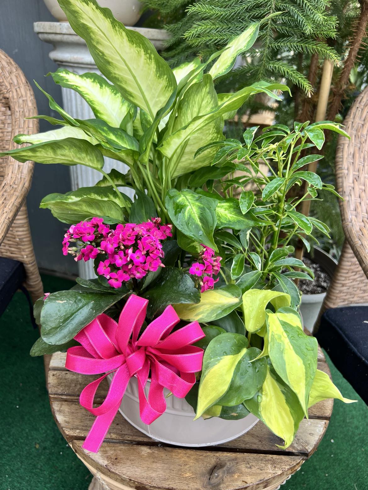 Mixed Indoor Planter
