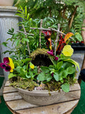 Resurrection Garden Kit