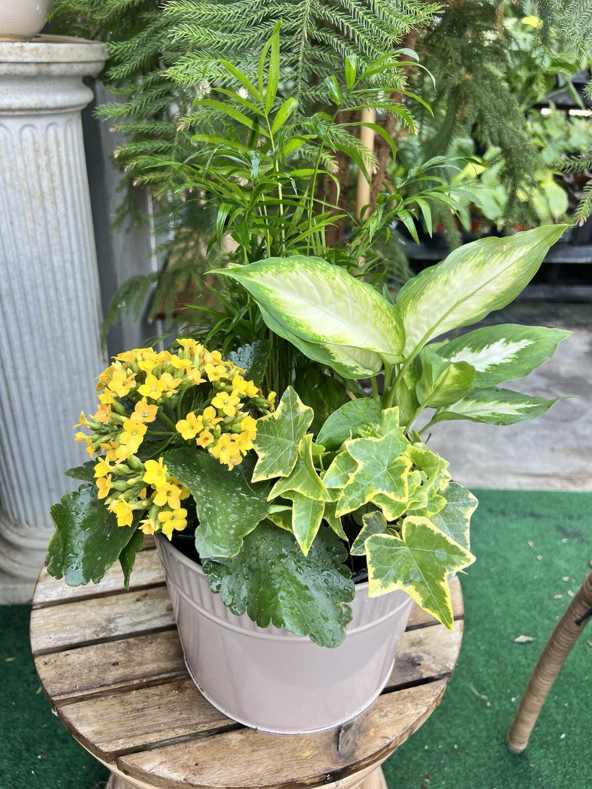 Mixed Indoor Planter