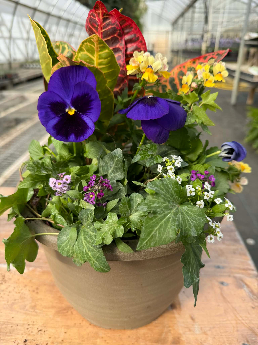 Four Season Porch Pot