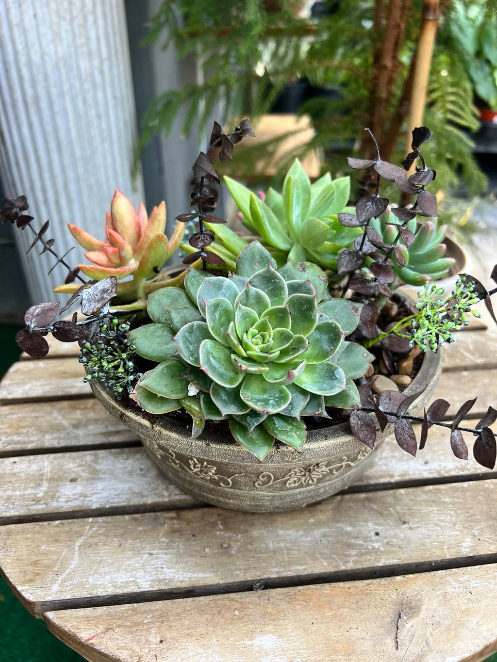 Succulent Planter