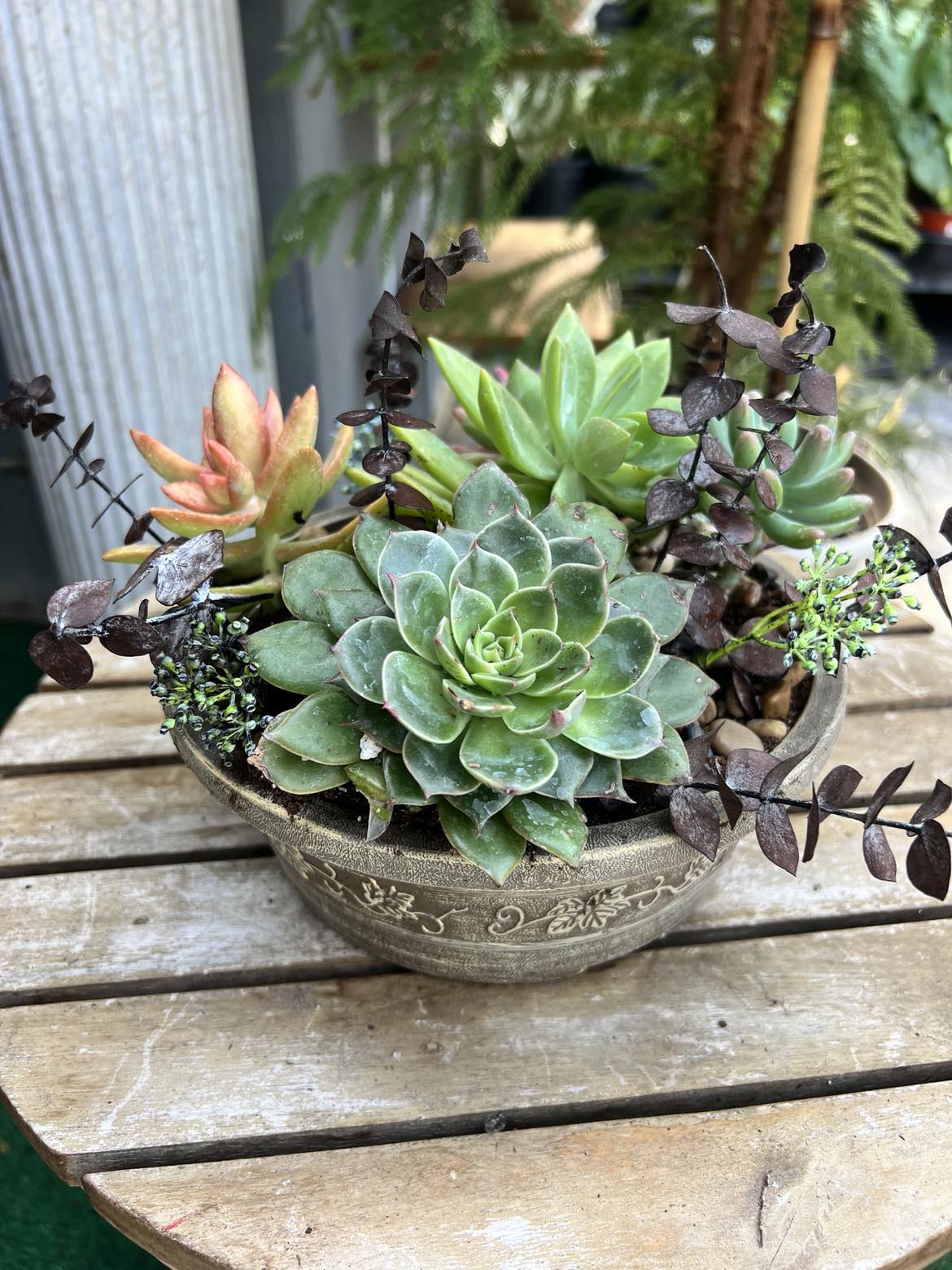 Succulent Planter