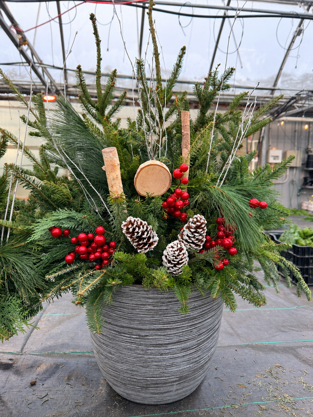 Mixed Evergreen Porch Pot Pick up December 7th-12th