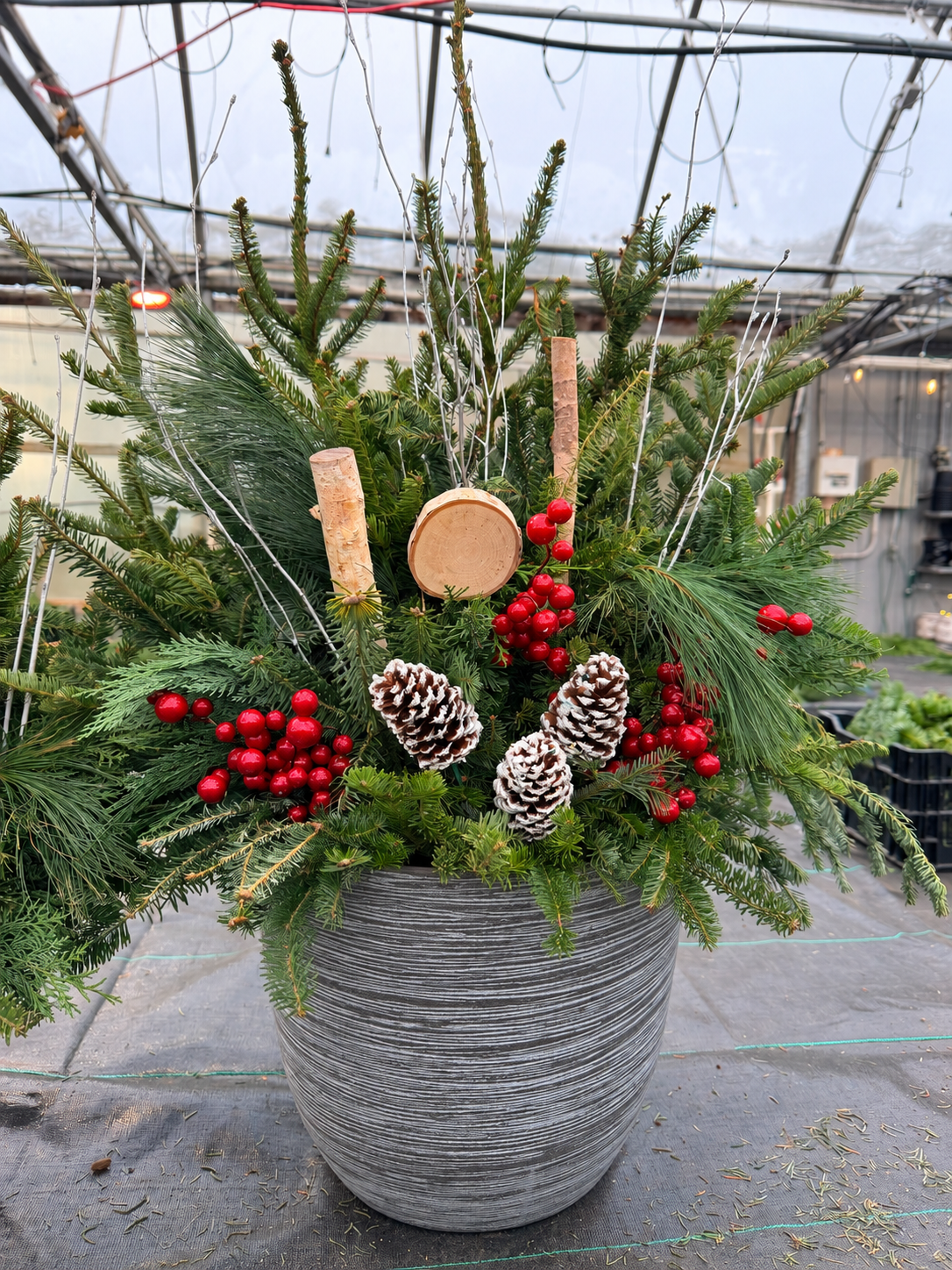 Mixed Evergreen Porch Pot Pick up December 7th-12th