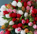 Sweetheart Suprise Tulip Medley