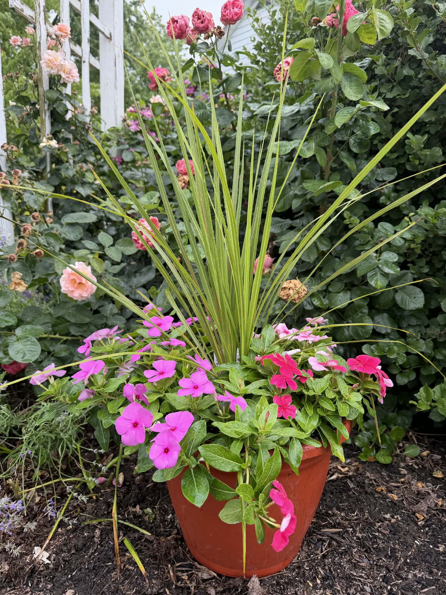 Season Extender Vinca Planter