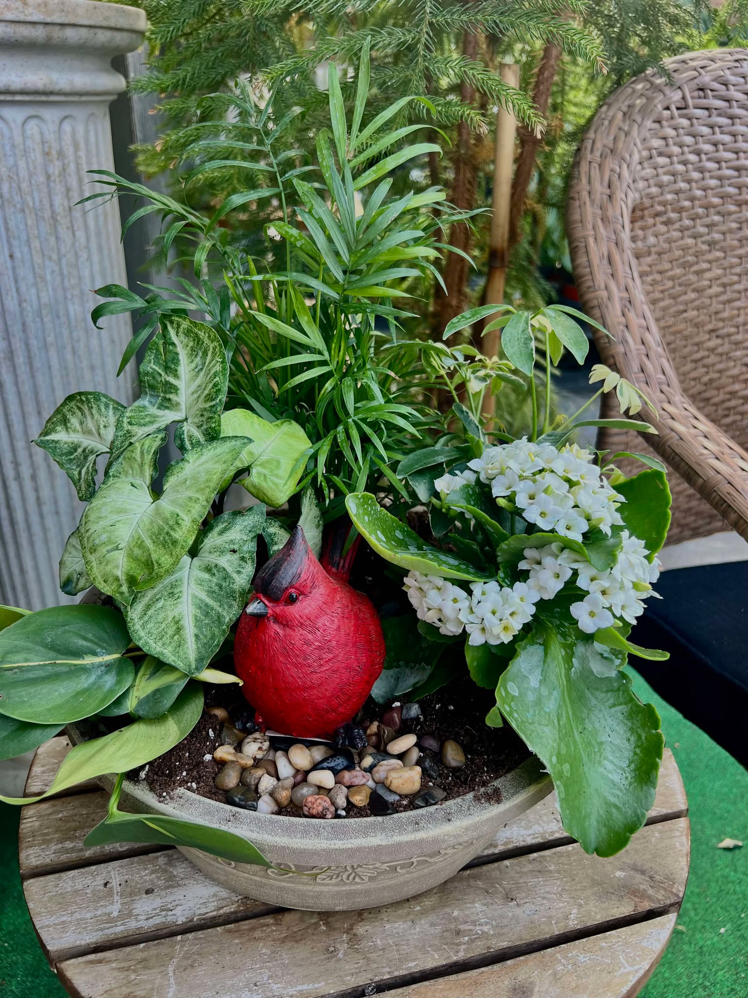 Red Cardinal Planter