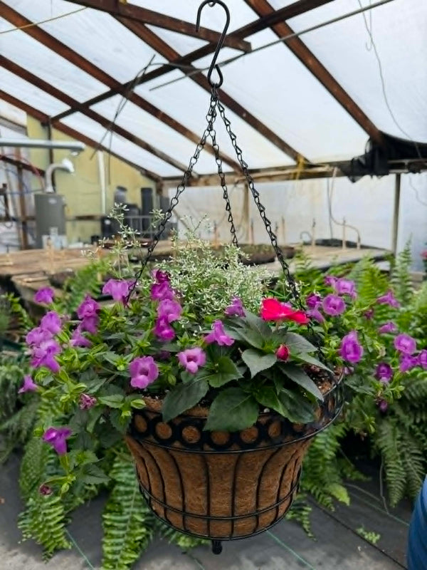 Elegant Hanging Basket (Designer's Choice)