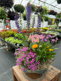 A Perennial Collection (Designer's Choice)
