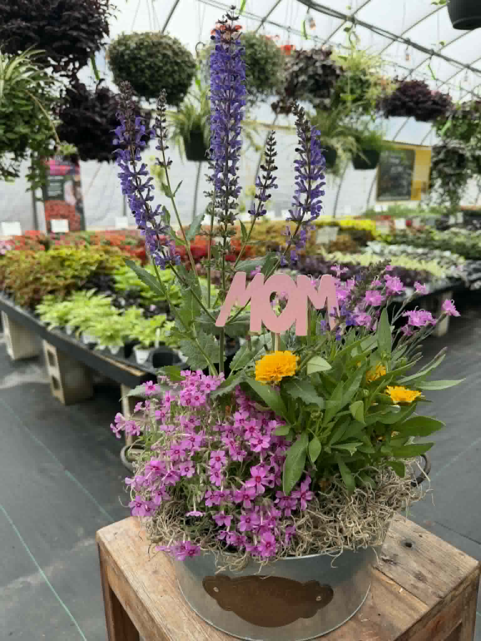 A Perennial Collection (Designer's Choice)