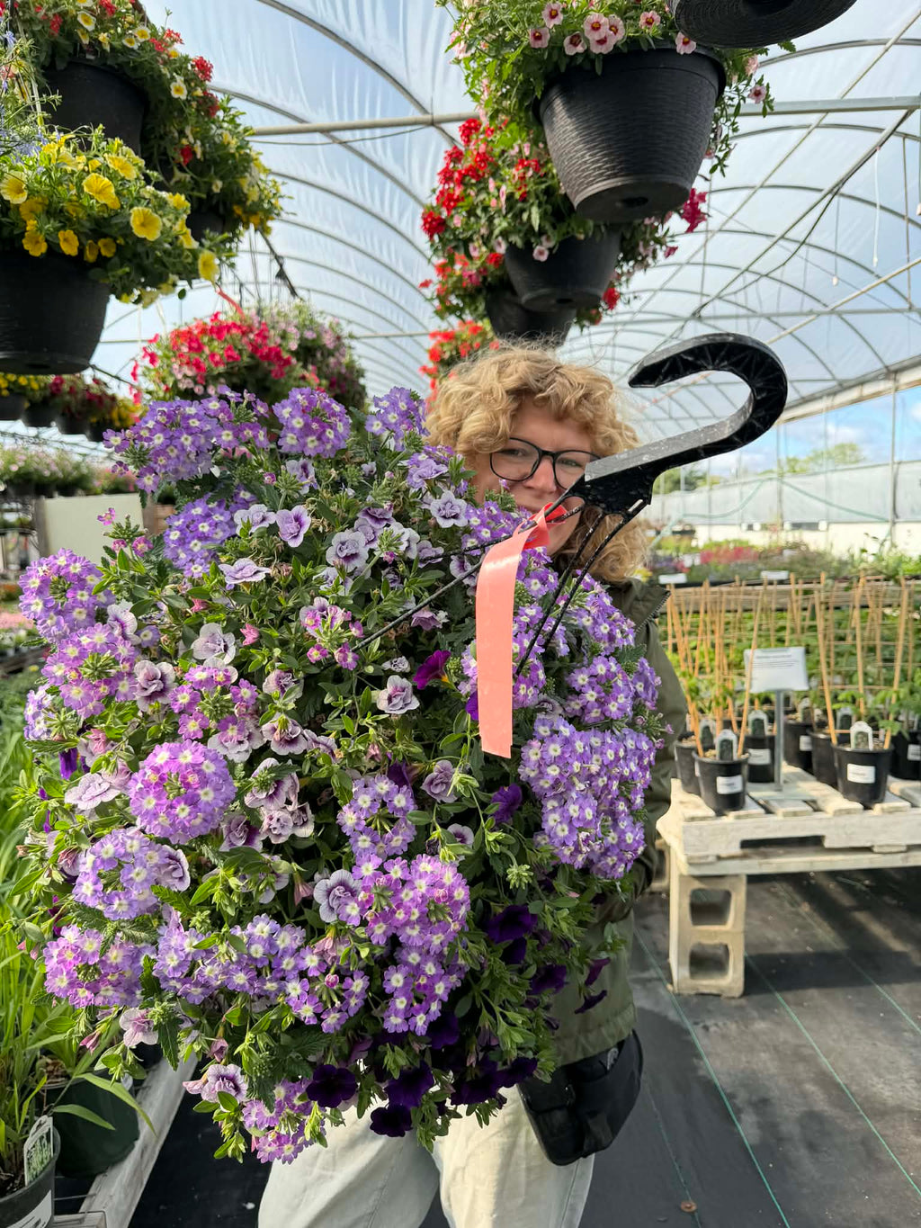 Gorgeous Combo Hanging Basket (Designer's Choice)