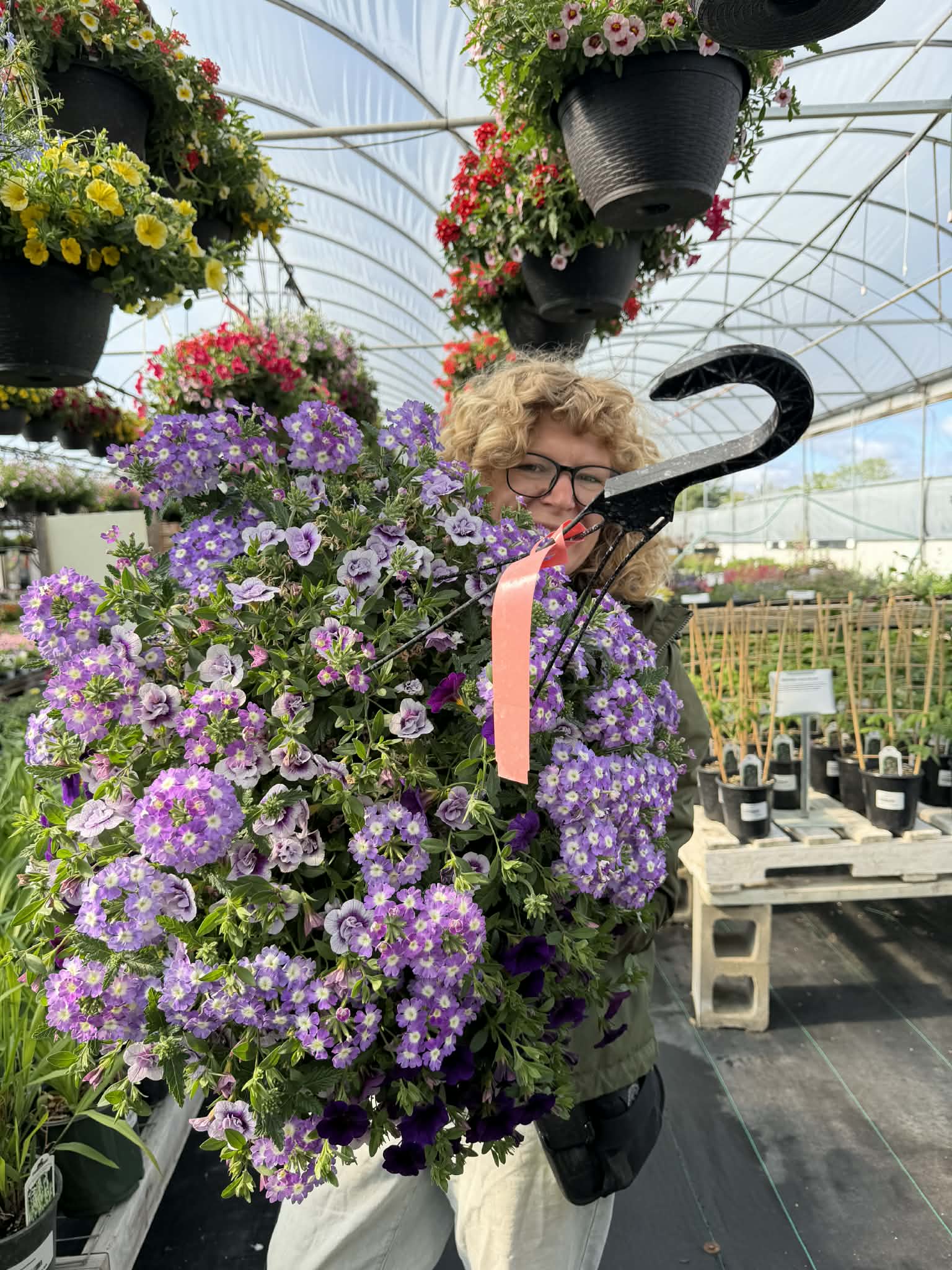 Gorgeous Combo Hanging Basket (Designer's Choice)