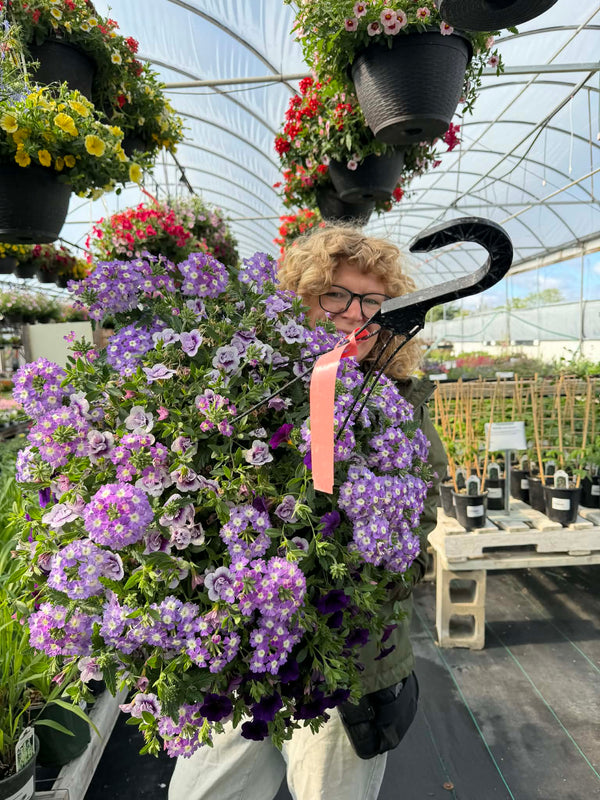 Gorgeous Combo Hanging Basket (Designer's Choice)