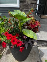 Four Season Porch Pot