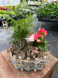 Joy in a basket (designer's choice) Indoor or Outdoor