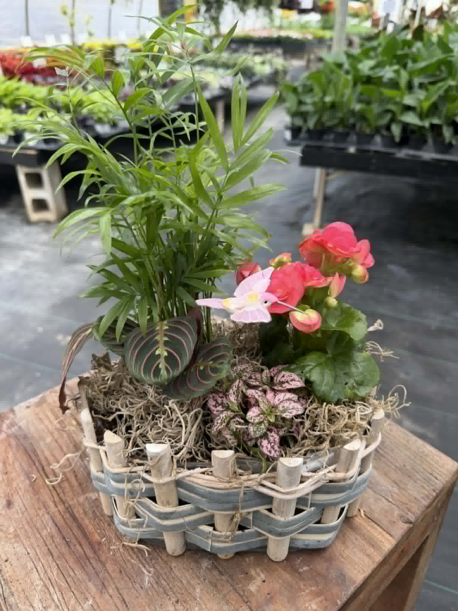 Joy in a basket (designer's choice) Indoor or Outdoor
