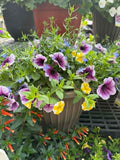 Fabulous Porch Pot