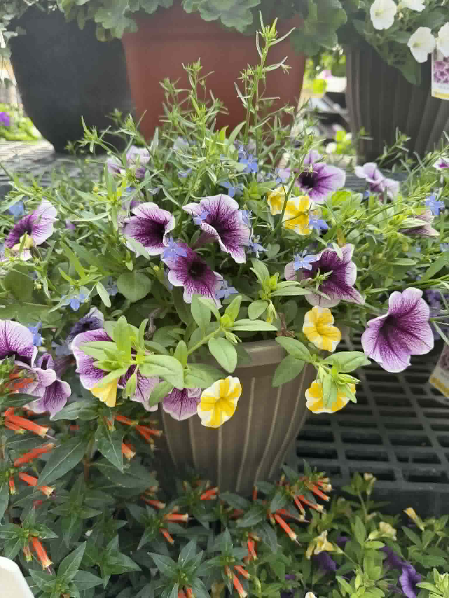 Fabulous Porch Pot
